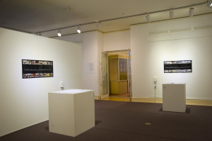 李天倫 發展中的音域 地圖，聲帶，能達翩紙本 李天倫作品於港大博物館之場景